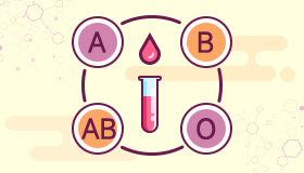 【O型血和B型血不会生出任何血型的孩子】两个B型血可以生出O型血