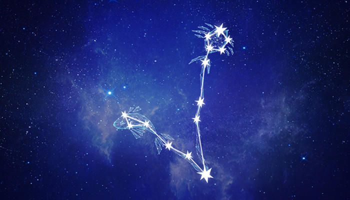 十二星座中哪个星座最容易成为明星？