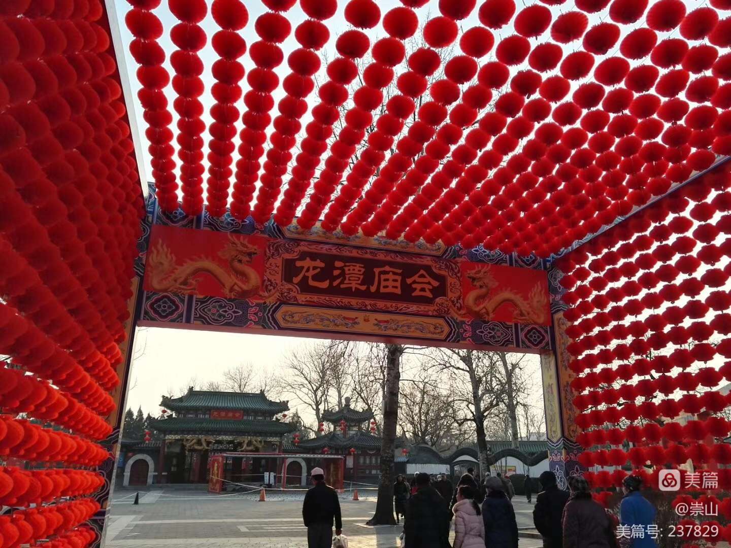 牛x
:2016年第33届北京龙潭春节文化庙会（之一）