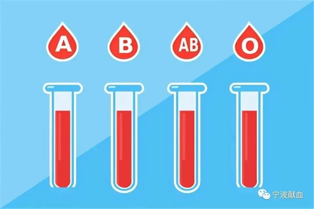 【献血科普】O型血的人能生出AB型血的孩子吗？