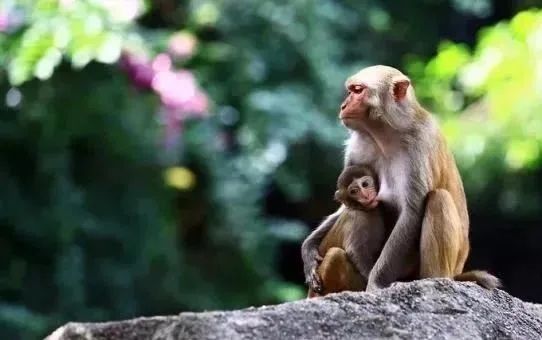 追悔莫及
:属猴人：92岁属猴人2021年牛年有福有情