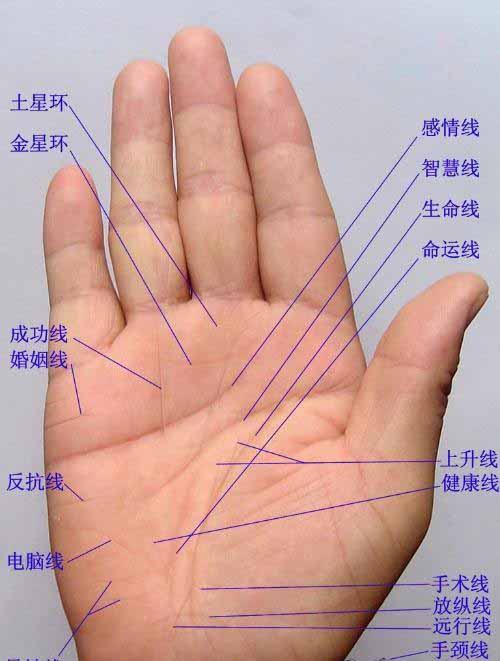 观点精辟
:各种掌纹的手相算命分析