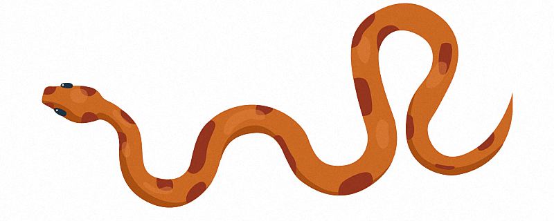 重磅新闻
:梦见红蛇是什么意思？ 梦见红蛇是什么意思？
