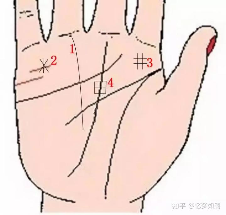 懒人福利
:手掌九条纹有几条可以一生富贵？
