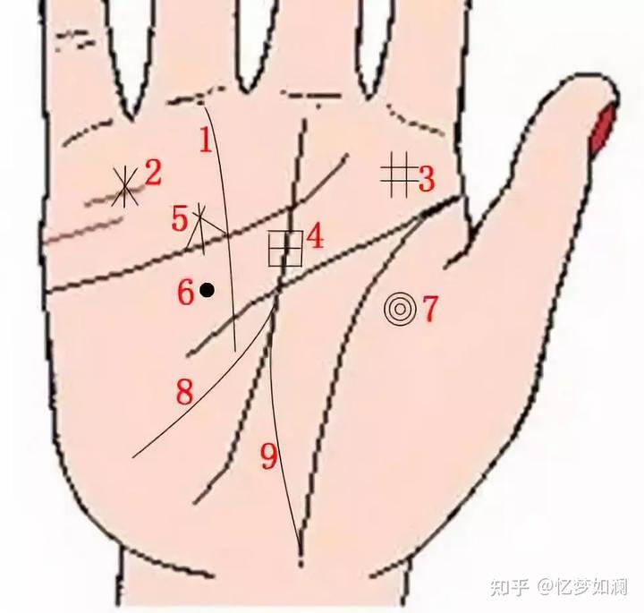 懒人福利
:手掌九条纹有几条可以一生富贵？