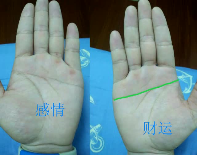 官方发布
:女性假断掌的手相类型